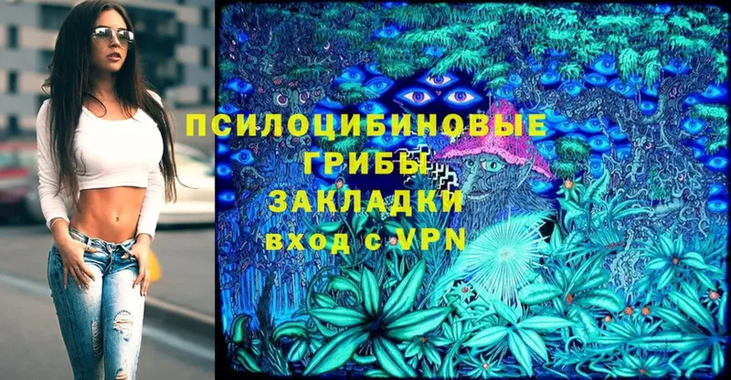 купить   Салават  Псилоцибиновые грибы Magic Shrooms 